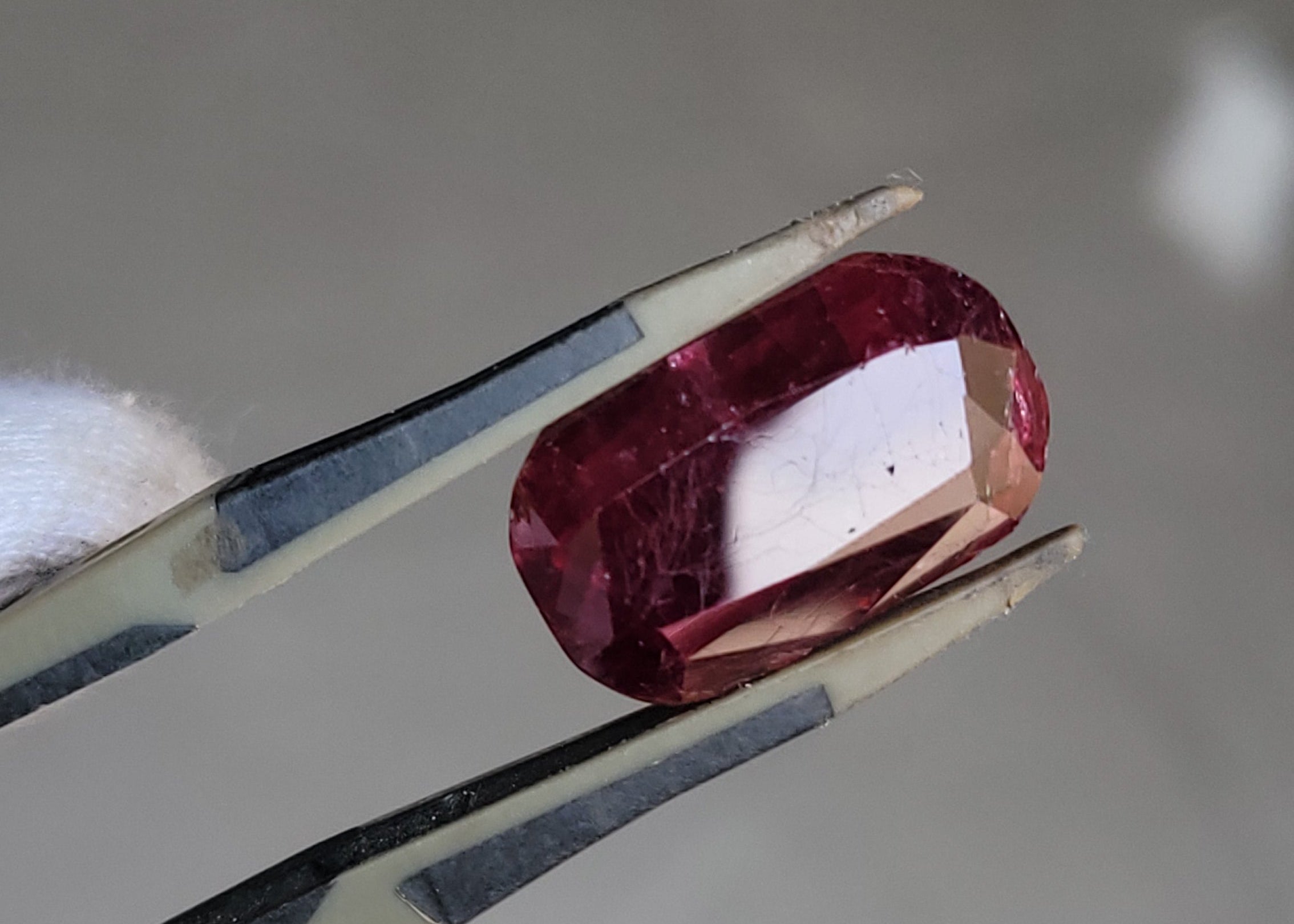 A faceted oval ruby gemstone held in silver tweezers by a gloved hand, shown against a soft gray background.